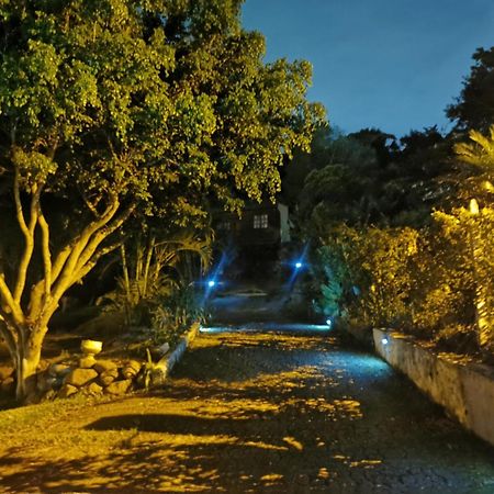Cabaña Vista Verde Cartago Exterior foto